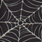 Spider Webs