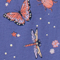 Indigo Backyard Bugs