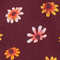 Bordeaux Tossed Coneflower