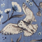 Winter Owls
