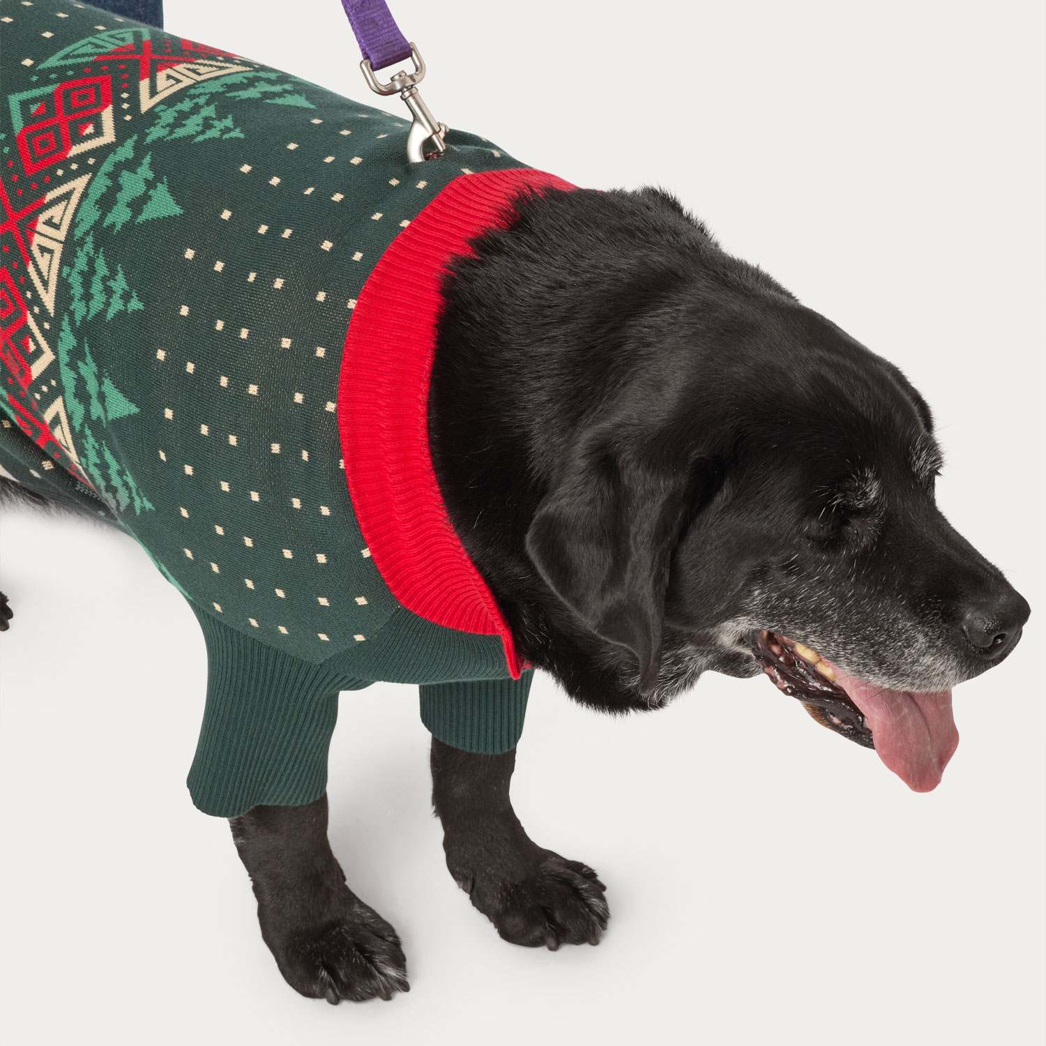 Duluth Dog Sweater