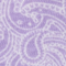 Purple All Over Paisley