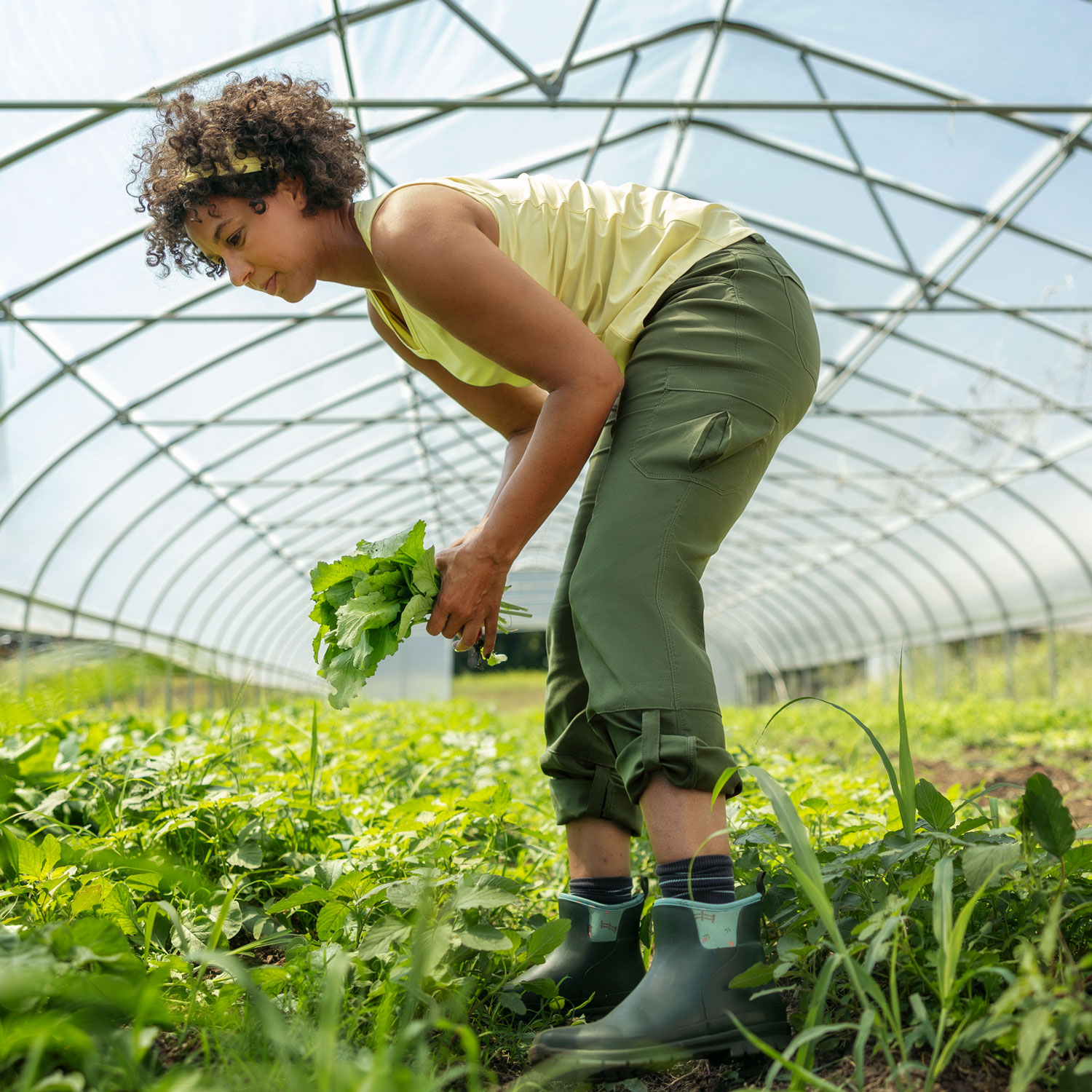 Women's Dry on the Fly Bootcut Pants