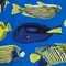 Tropical Fish