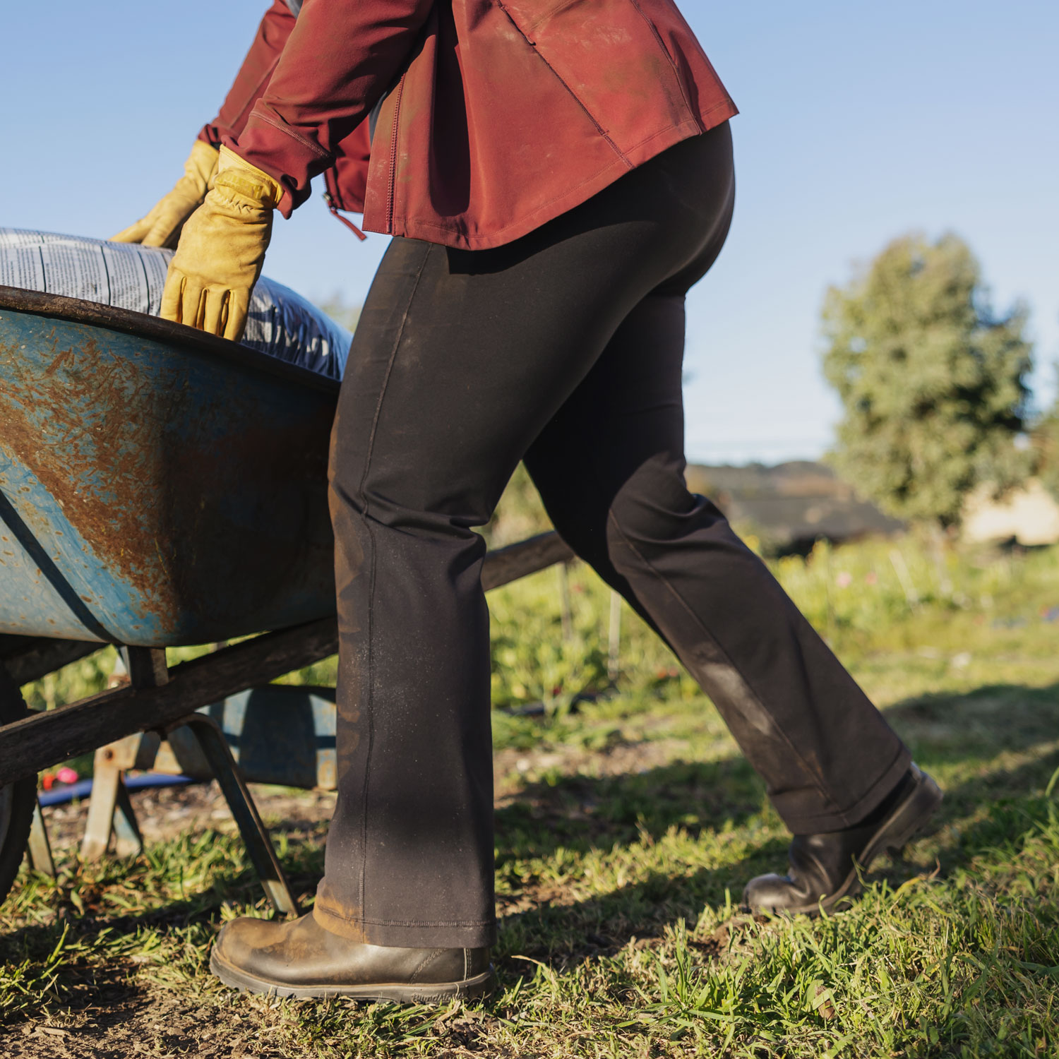 Women's Plus NoGA Classic Bootcut Pants