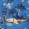 Hawaiian DTC Vacay