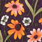 Purple Coneflower