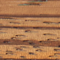 Zebrawood