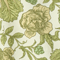 Leafy Cabbage