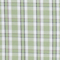 Green Small Check Plaid