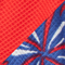 Picnic on the 4th/Bright Red