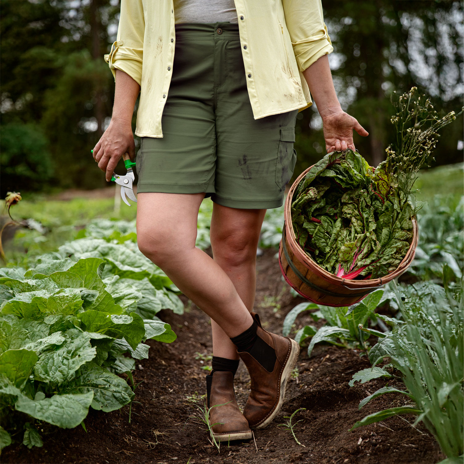 Women's Dry on the Fly 10" Shorts
