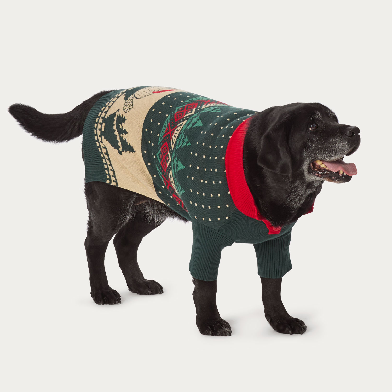 Duluth Dog Sweater